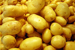 potato 01